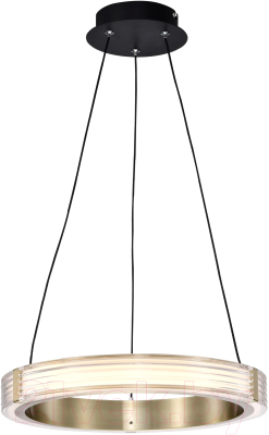 Потолочный светильник Lightstar Rotonda 736241 - фото