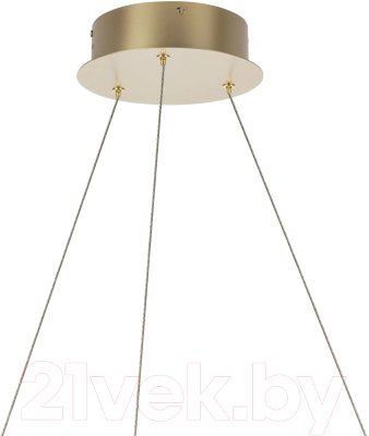 Потолочный светильник Lightstar Rotonda 736323