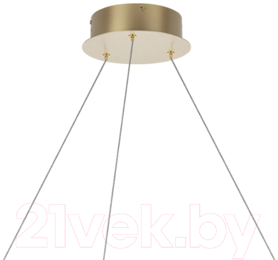 Потолочный светильник Lightstar Rotonda 736333