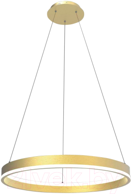 Потолочный светильник Lightstar Rotonda 736412 - фото