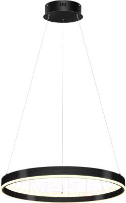 Потолочный светильник Lightstar Rotonda 736417 - фото