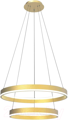 Потолочный светильник Lightstar Rotonda 736422 - фото