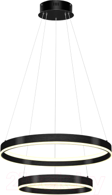 Потолочный светильник Lightstar Rotonda 736427 - фото