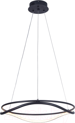 Потолочный светильник Lightstar Rotonda 736517 - фото