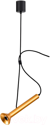 Потолочный светильник Lightstar Palla 737031 - фото