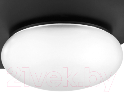 Потолочный светильник Lightstar Emisfero 737337