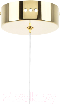 Потолочный светильник Lightstar Acrile 738023