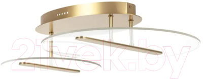 Потолочный светильник Lightstar Acrile 738053 - фото