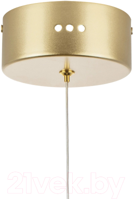 Потолочный светильник Lightstar Acrile 738073