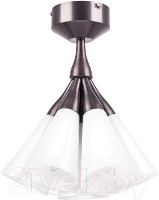 Люстра Lightstar Cone 757070 - фото