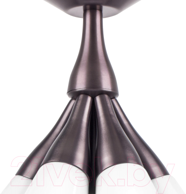 Люстра Lightstar Cone 757070