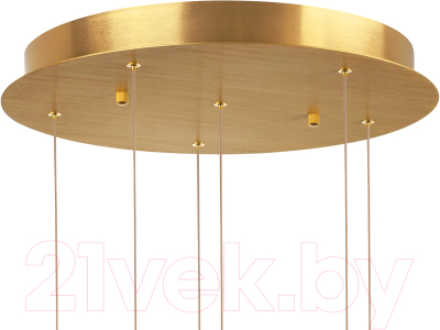 Люстра Lightstar Colore 805169