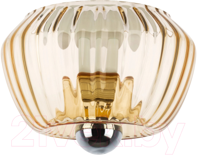 Потолочный светильник Lightstar Celesta 809003 - фото