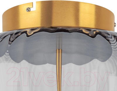 Потолочный светильник Lightstar Celesta 809061