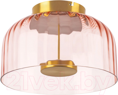 Потолочный светильник Lightstar Celesta 809062 - фото