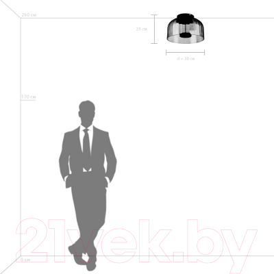 Потолочный светильник Lightstar Celesta 809062