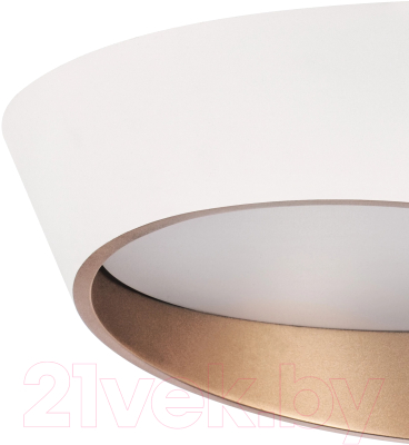 Потолочный светильник Lightstar Celesta 809456