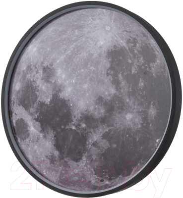 Потолочный светильник ESCADA Planet 10226/SG LED Mars - фото