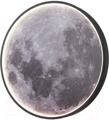 Потолочный светильник ESCADA Planet 10226/SG LED Mars