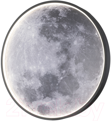 Потолочный светильник ESCADA Planet 10226/SG LED Moon
