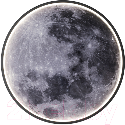 Потолочный светильник ESCADA Planet 10226/SG LED Moon