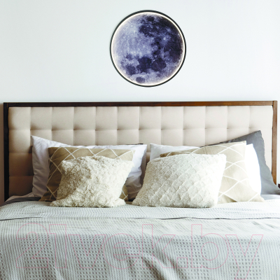 Потолочный светильник ESCADA Planet 10226/SG LED Moon