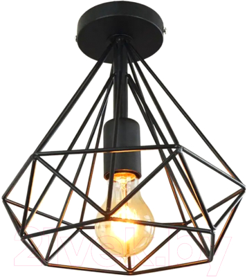 Потолочный светильник Leek Garret / LE062300-010 - фото