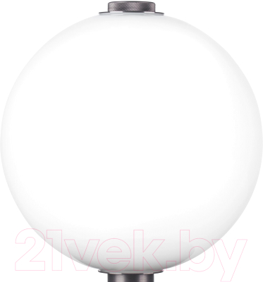 Прикроватная лампа Lightstar Colore 805906