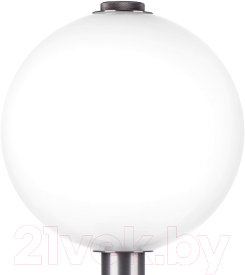 Прикроватная лампа Lightstar Colore 805916