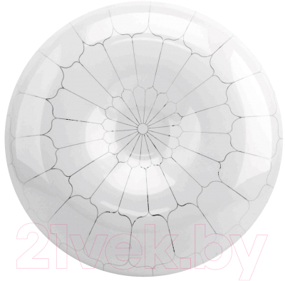 Потолочный светильник Leek СЛЛ 002 30Вт 6K Паутина / LE061201-035 - фото
