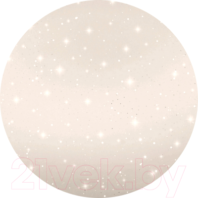Потолочный светильник Leek СЛЛ 023 45Вт 5К Звезда / LE061207-007 - фото