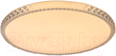 Потолочный светильник Leek Mystery 120W / LE061202-050 - фото