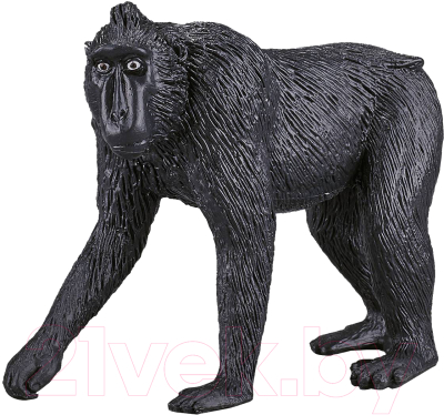 Фигурка коллекционная Konik Хохлатый павиан / AMW2084 - фото