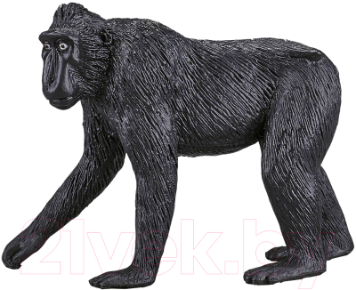 Фигурка коллекционная Konik Хохлатый павиан / AMW2084