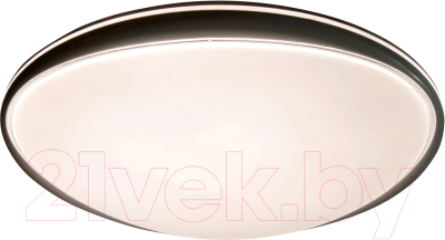 Потолочный светильник Leek Afina 55W / LE061204-002 - фото