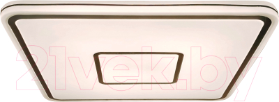 Потолочный светильник Leek Aragon 75W / LE061204-012 - фото