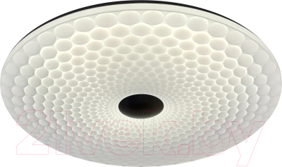 Потолочный светильник Leek Sonata 75W / LE061204-008 - фото