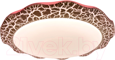 Потолочный светильник Leek Verbena-P 55W / LE061204-003 - фото