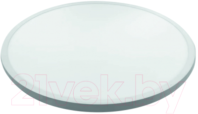 Потолочный светильник Leek LE061209-026 - фото