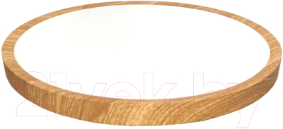 Потолочный светильник Leek LE061209-032 - фото