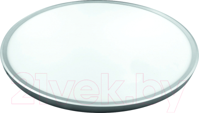 Потолочный светильник Leek LE061209-020 - фото