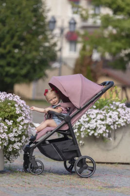 Детская прогулочная коляска Carrello Bravo 2024 / CRL-8512