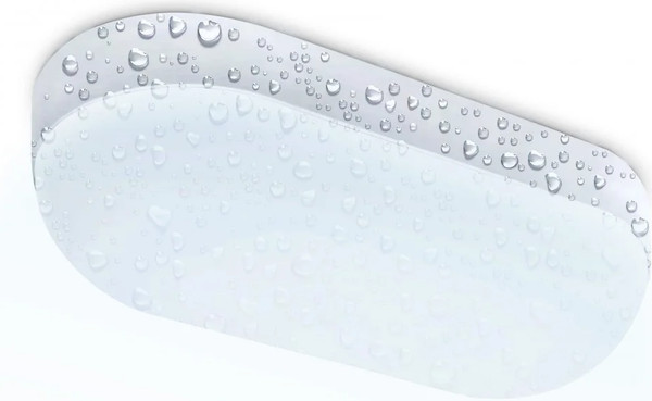 Светильник ЖКХ Ambrella ST8666