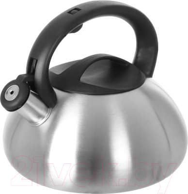 Чайник со свистком Astiat AST1005 - фото