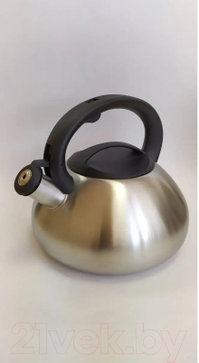 Чайник со свистком Astiat AST1005