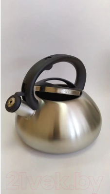 Чайник со свистком Astiat AST1005