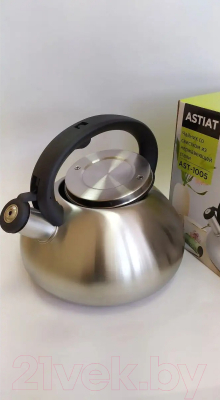 Чайник со свистком Astiat AST1005