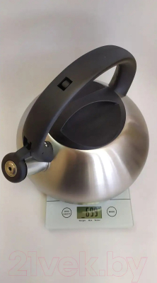 Чайник со свистком Astiat AST1005