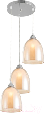 Потолочный светильник Freya Astery FR5375PL-03CH1 - фото