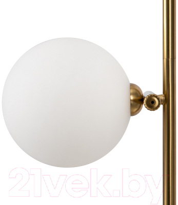 Потолочный светильник Freya Blossom FR5259PL-02BS